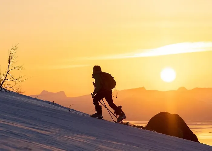 아파트 Central Narvik Apartment Walk To Train Bus 나르비크